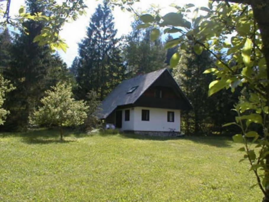 Apartment Lake Bohinj No. 5 ภายนอก รูปภาพ